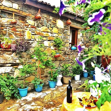 Sirincem Pension Selçuk Zewnętrze zdjęcie