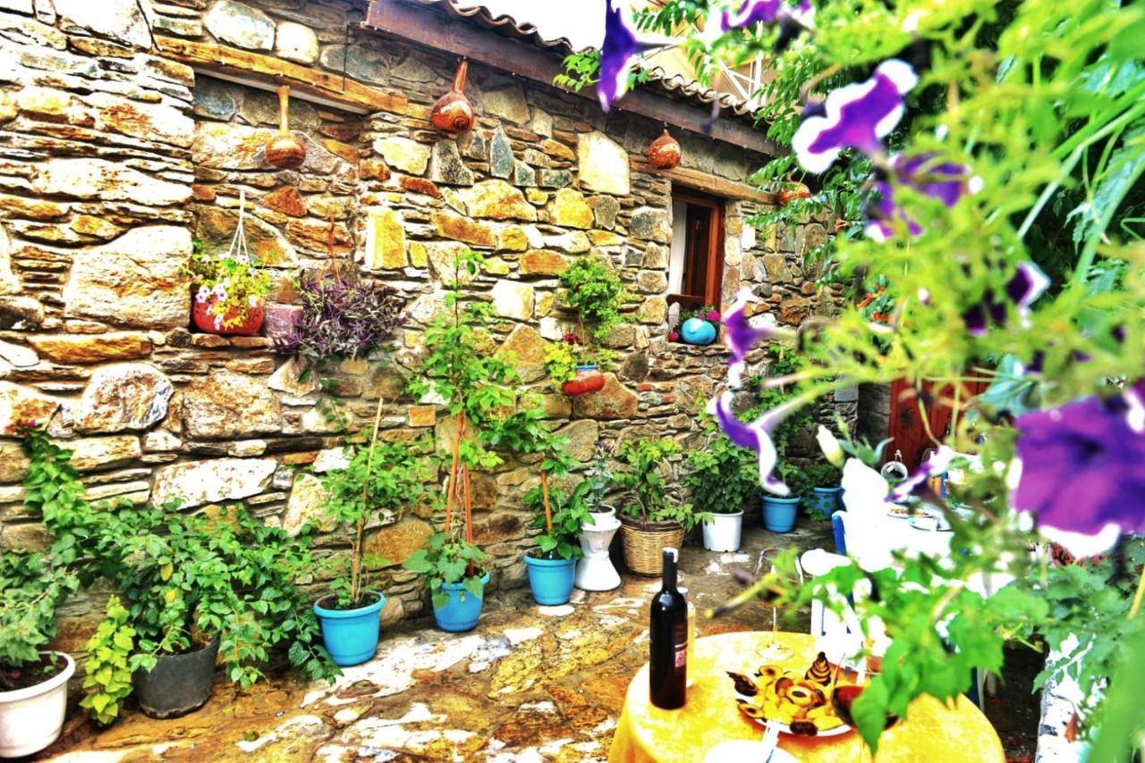 Sirincem Pension Selçuk Zewnętrze zdjęcie